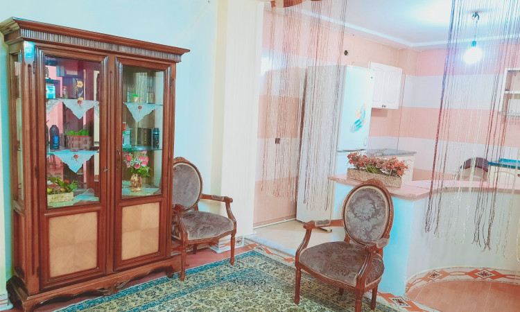 اجاره آپارتمان 1 خواب امیری