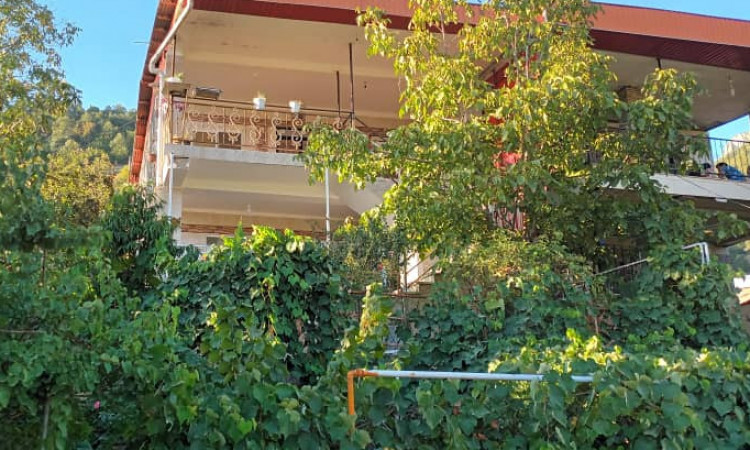 اجاره ویلای ارغوان