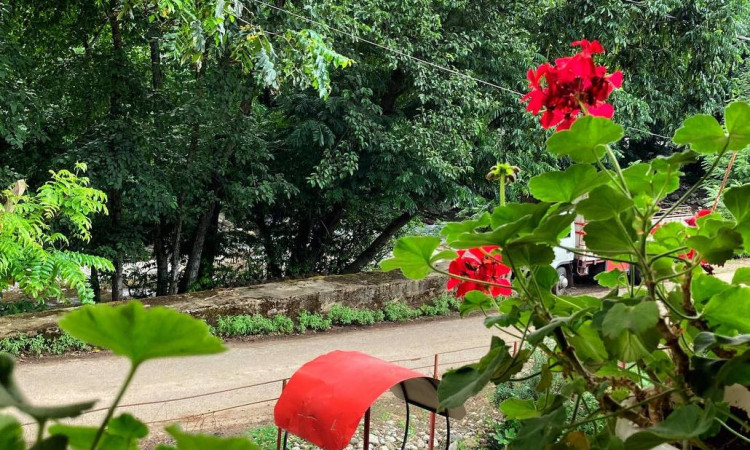 اجاره ویلا چوبی نزدیک جنگل و رودخانه