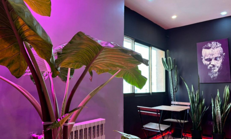 شقة مفروشة للايجار في سادات آباد مع فيفي طهران