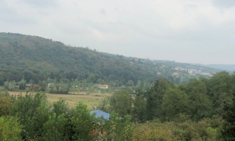 اجاره کلبه سوئیسی جنگلی دلیزه