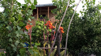 استئجار فيلا حديقة مريحة وهادئة