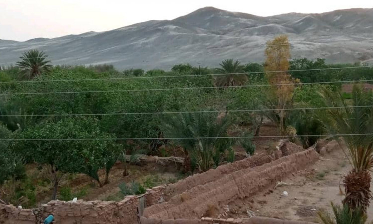 رزرو بوم گردی شب نشین (اتاق 6 نفره)