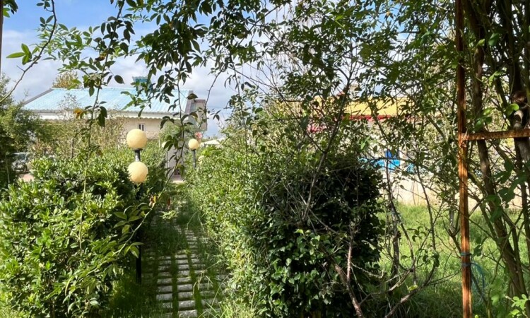 اجاره ویلا باغ تک خواب