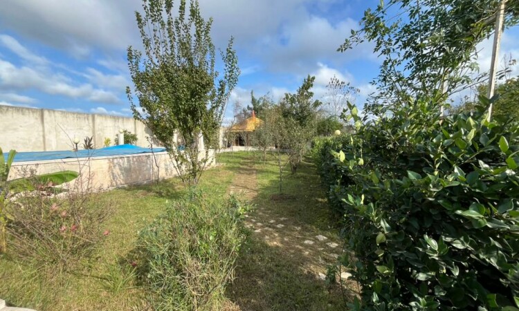 اجاره ویلا باغ تک خواب