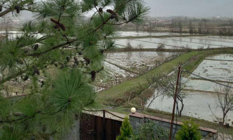 اجاره ویلا جنگلی روستایی مرزگذار