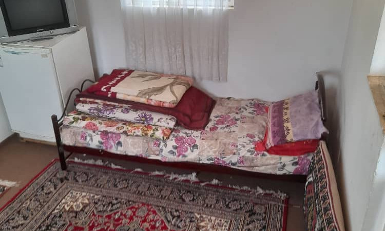 اجاره سوئیت یاس با چشم اندازه جنگل