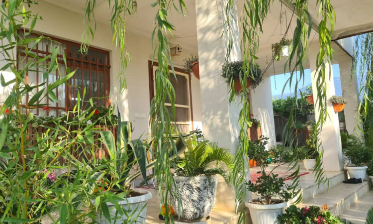 اجاره ویلا باغ سینوا