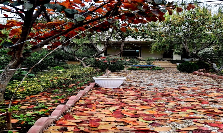 اجاره ویلا باغ سینوا