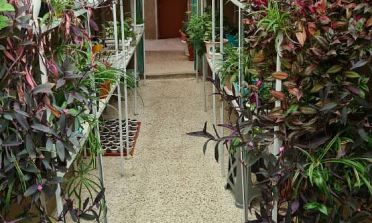 اجاره ویلا باغ سینوا