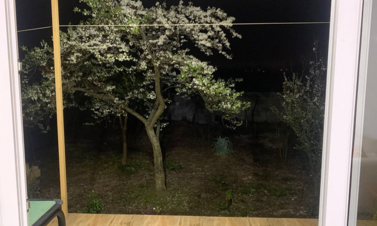 ویلای دو خوابه مهران