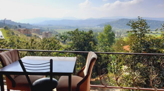 رزرو مجموعه اقامتی باغ ملک - کلبه بدون خواب (شماره 6)