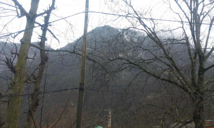 اجاره آپارتمان دو خواب کوی سیالان