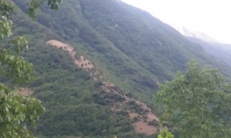 اجاره آپارتمان دو خواب کوی سیالان