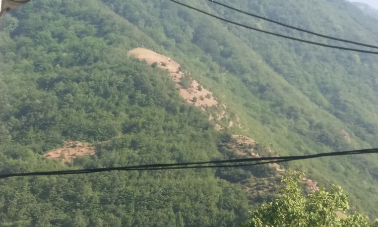 اجاره آپارتمان دو خواب کوی سیالان