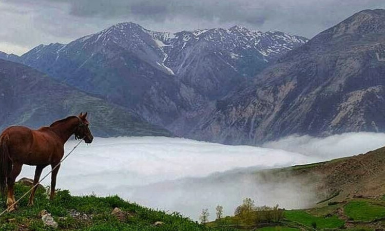 اجاره ویلای کوهستانی روستای کرسی