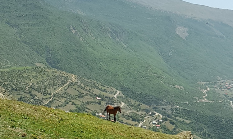 اجاره ویلای کوهستانی روستای کرسی