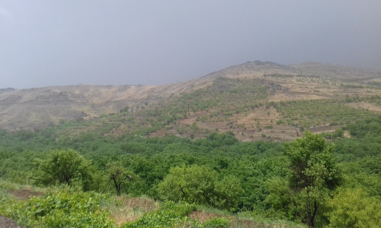رزرو بوم گردی دهبنه تویسرکان