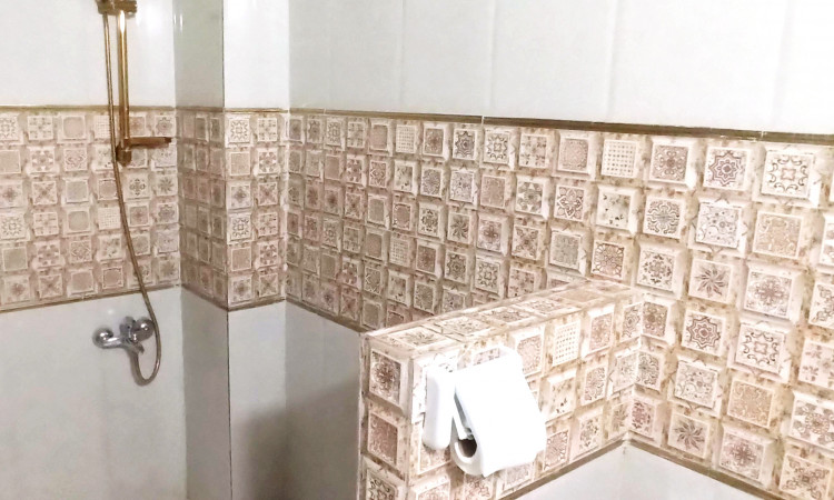 رزرو بوم گردی شاخه نبات 1