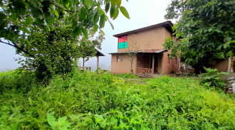 رزرو کلبه چوبی لوتک جنگلی با چشم‌انداز زیبا در فیلبند