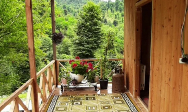 کلبه چوبی جنگلی سوئیسی