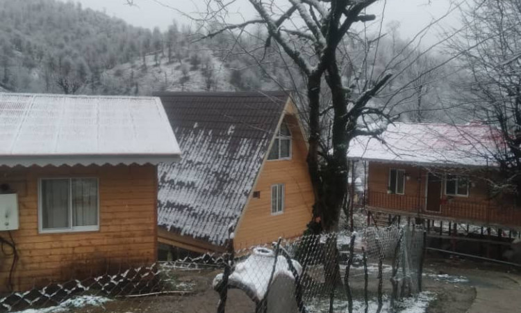 کلبه چوبی جنگلی سوئیسی