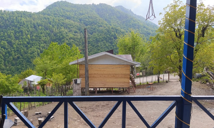 اجاره ویلا سنتی جنگلی نوید