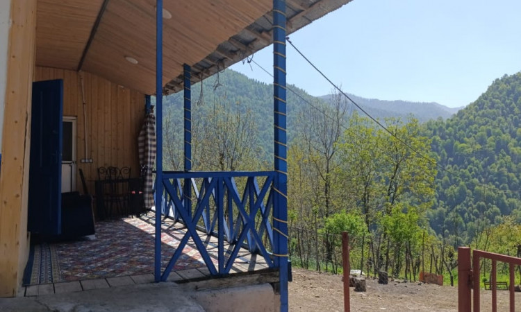 اجاره ویلا سنتی جنگلی نوید