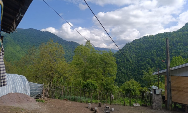 اجاره ویلا سنتی جنگلی نوید