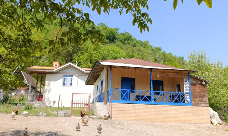 اجاره ویلا سنتی جنگلی نوید