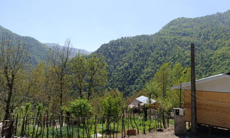 اجاره ویلا سنتی جنگلی نوید