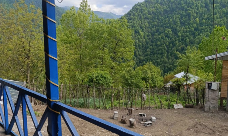 اجاره ویلا سنتی جنگلی نوید
