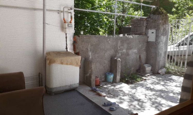 اجاره واحد جنگلی یک خوابه