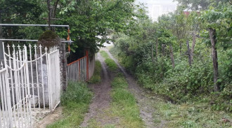 وحدة غابة بغرفة نوم واحدة للإيجار