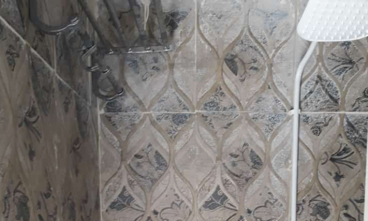 اجاره واحد جنگلی یک خوابه