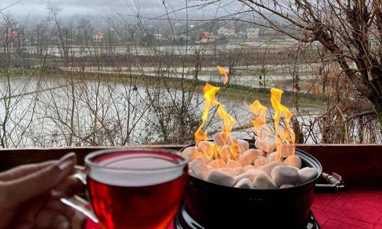 اجاره کلبه سوئیسی پوینت