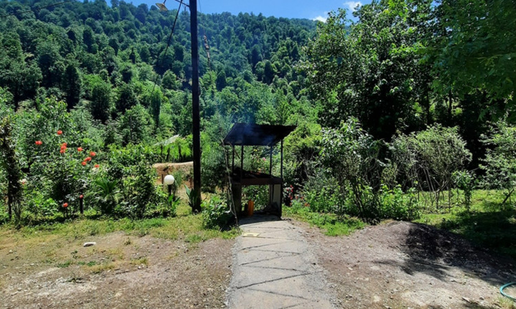 اجاره ویلا بلوط در روستای زیبای ملل آب