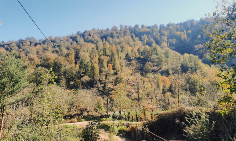 اجاره ویلا بلوط در روستای زیبای ملل آب