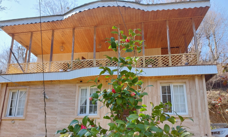 اجاره ویلا بلوط در روستای زیبای ملل آب