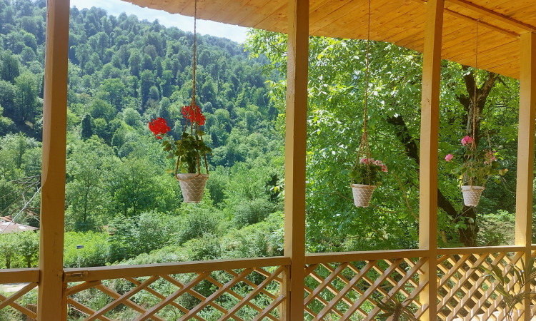 اجاره ویلا بلوط در روستای زیبای ملل آب