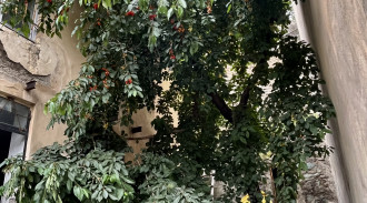 اجاره ویلا 2 خواب دلباز دیزین