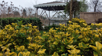 فيلا للايجار في نجين شمخال