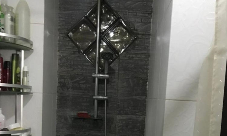 اجاره واحد طبیعت بکر