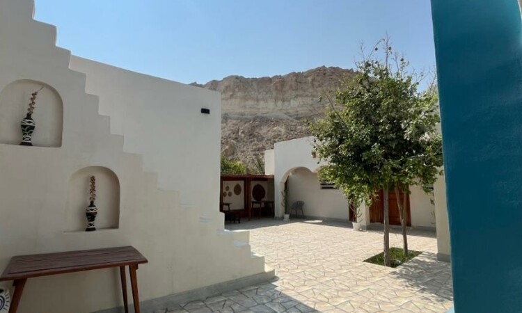 أقارب نجم تجديد النجوم القابل للتجديد (لوحان مزدوجان)