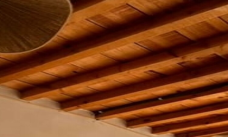 أقارب نجمة تجديد النجوم القابلة للتجديد (غرفة مزدوجة)