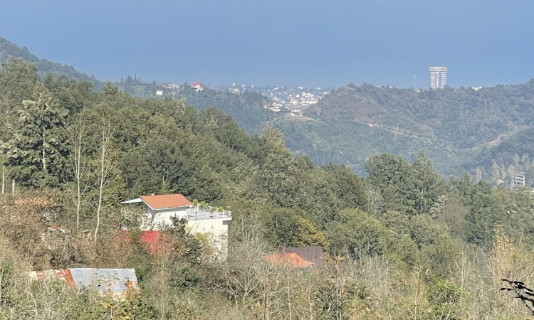 اجاره آپارتمان دو خواب جنگلی نارون