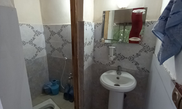 اجاره ویلا جنگلی ویودار مانی