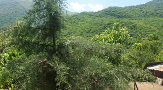 اجاره ویلا مسافر چهارفصل