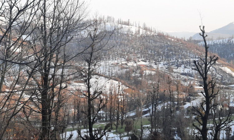 اجاره ویلا جنگلی آپادانا روستای استخرگاه - واحد یک