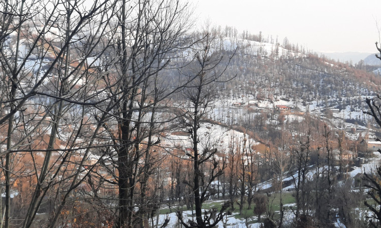 اجاره ویلا جنگلی آپادانا روستای استخرگاه - واحد دو